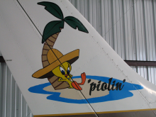 Skips plane